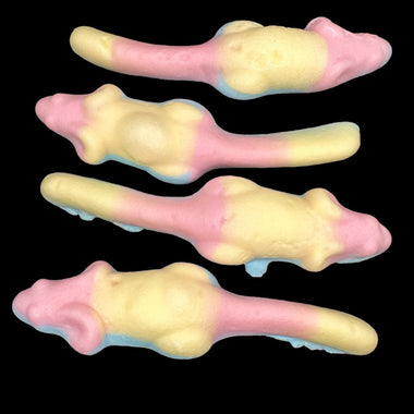 Photo of psychodelic mice