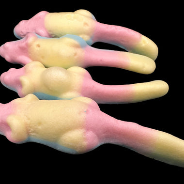 Freeze dried psychodelic mice