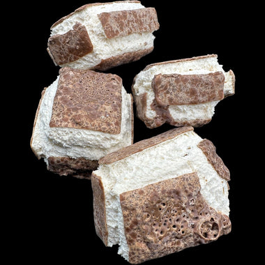 side shot of freeze dried milky ways