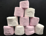 Freeze Dried Large Marshmallows