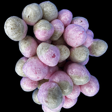 UK Freeze Dried Cola Pips